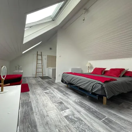 Duplex - Centre-ville Du Mans شقة *