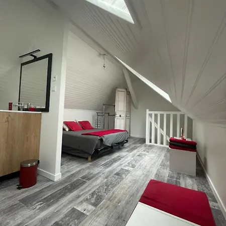 Duplex - Centre-ville Du Mans