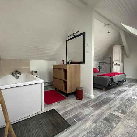 Duplex - Centre-ville Du Mans شقة
