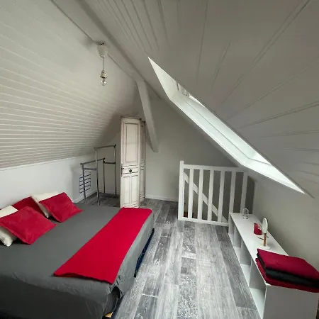 Duplex - Centre-ville Du Mans شقة لو مان