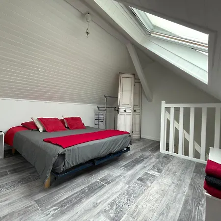 Duplex - Centre-ville Du Mans شقة